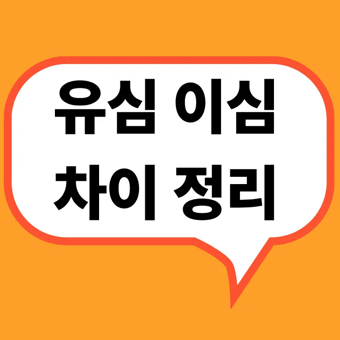 유심이심차이정리